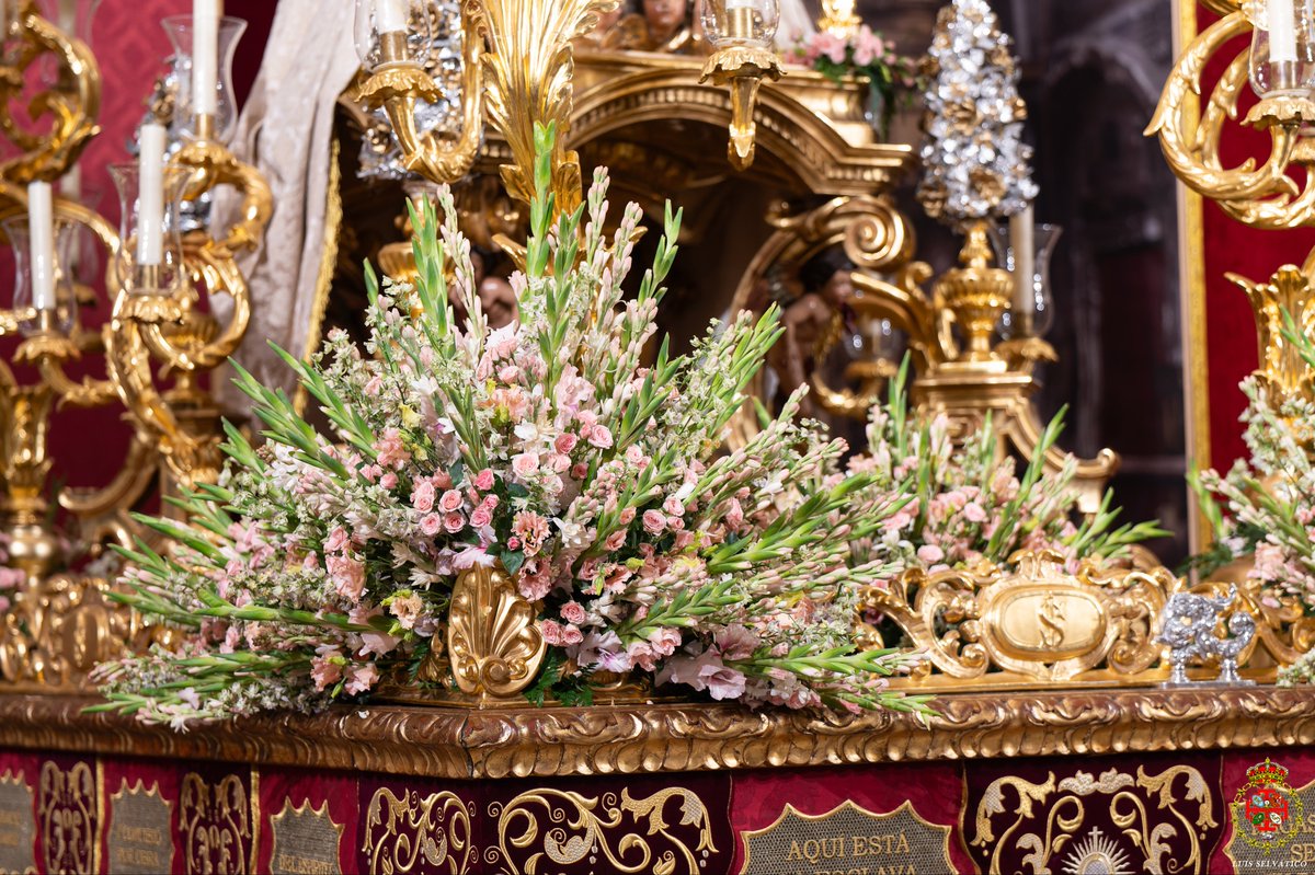 #EncarnaciónCena25 | El paso de Nuestra Señora de la Encarnación luce exornado para la salida procesional que tendrá lugar esta tarde.

El exorno floral, realizado por <a href="/VENTURASUALIS/">FLORES VENTURA</a>, se compone de gladiolos, nardos, delphinium, rosas de pitiminí y lisianthus.

📷 <a href="/lselvatico/">Luis Selvático</a>