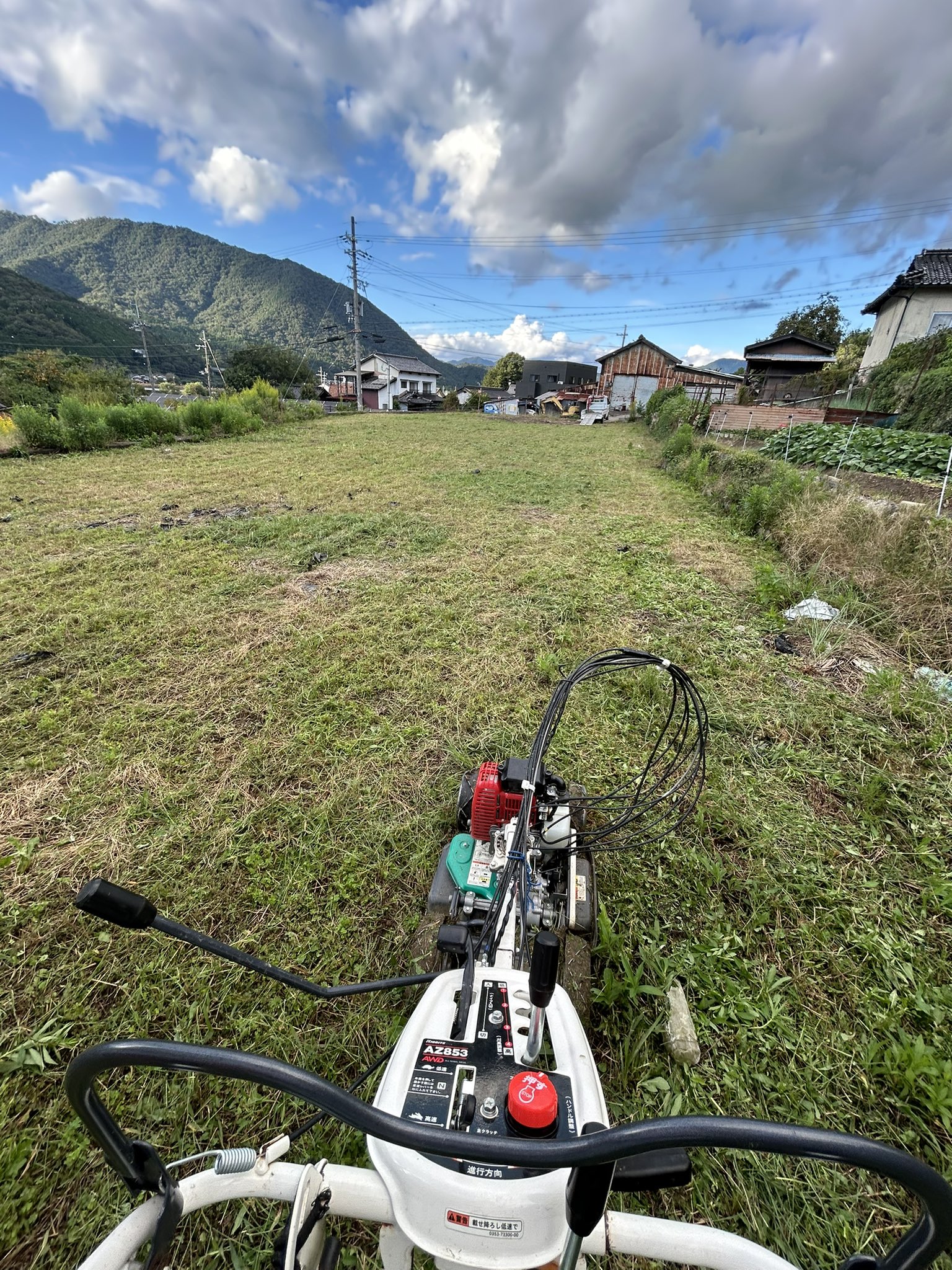 光峰 あいだ  adidas ZX8000 ICE MINT/TRACE PINK/CREAM WHITE – mita sneakers