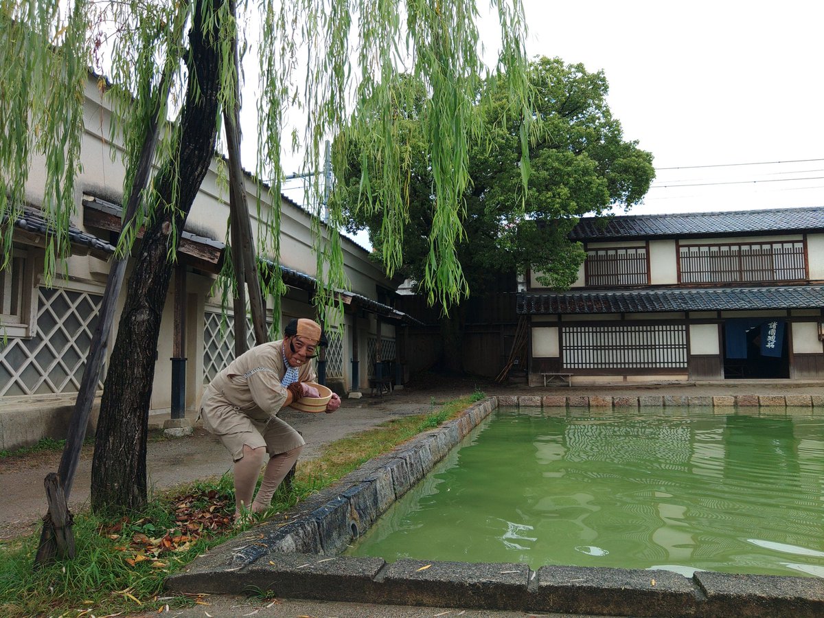 えだまめ様 7月30日まで マグ 目覚まし時計 あけぼの 白 T-711WH-Z | イオンスタイル