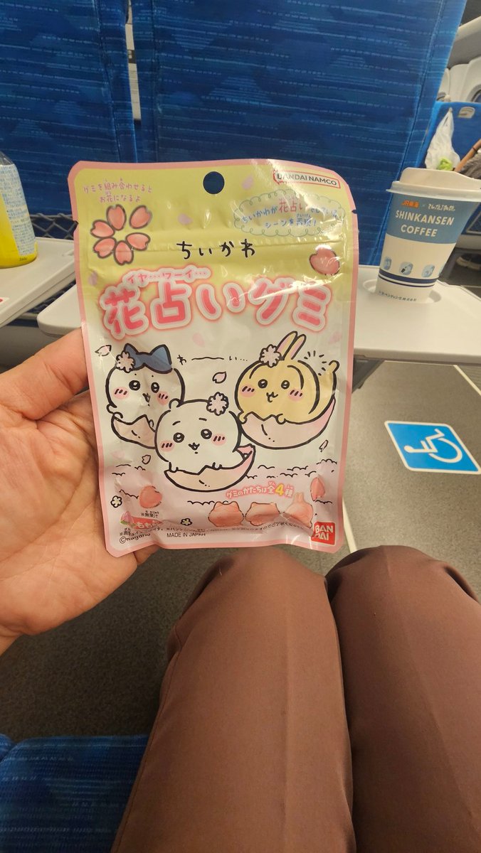 買ってしまった