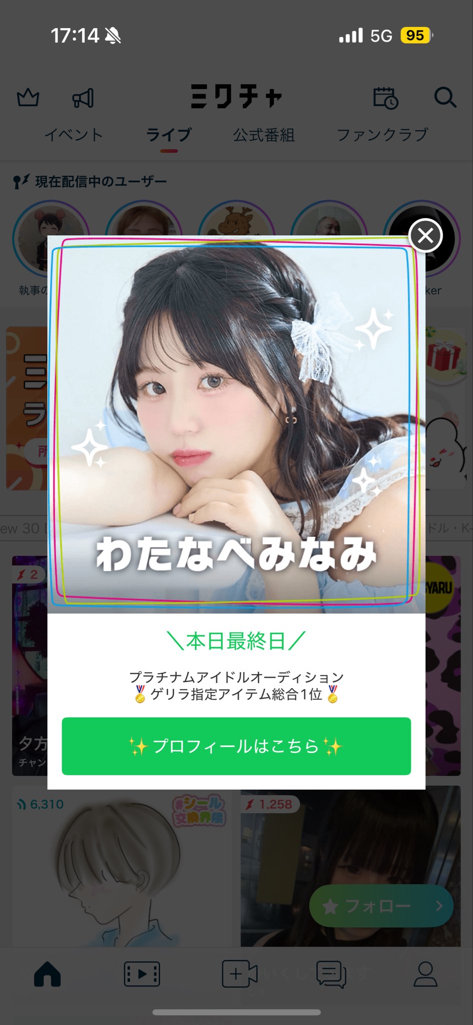 mimiさん専用です。 MIMIペン （ピンガ） PG - ピングーグッズ公式オンラインストア