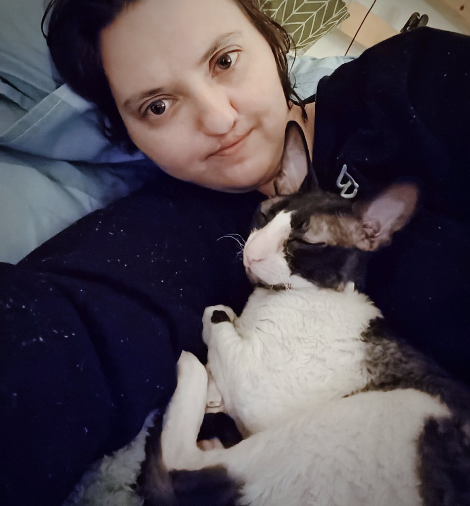 двоичный кот в вакууме 🏳‍🌈🇮🇱 tweet media