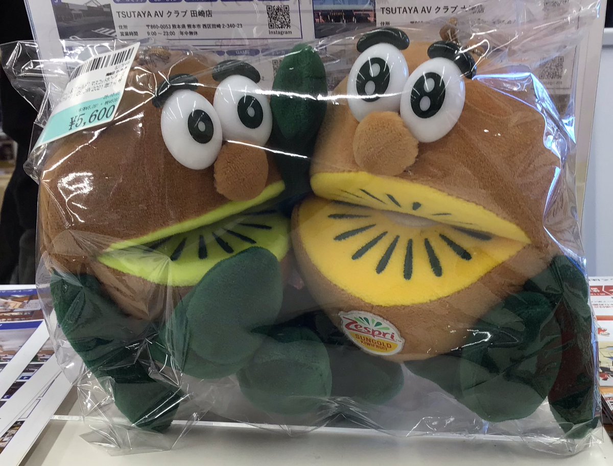 キウイブラザーズ - Search / X