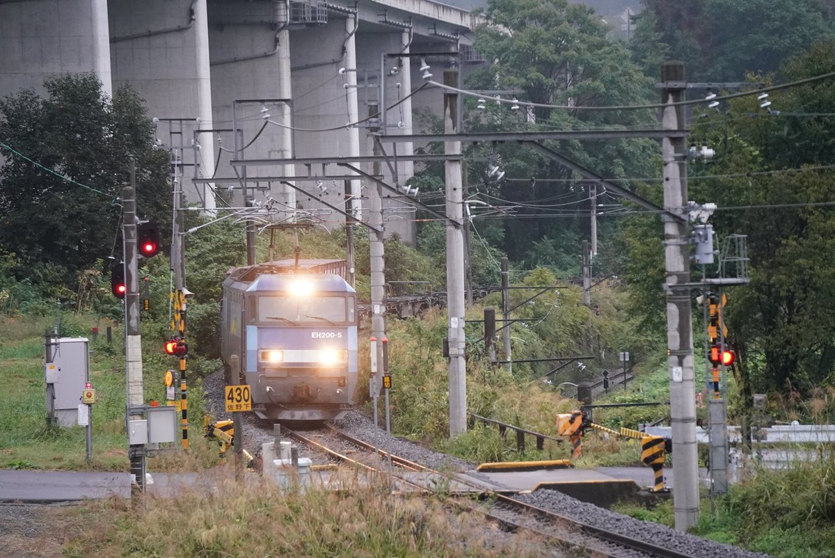 genki80001919's tweet photo. 📷️ (10月5日)
EH200-5+コキ12
臨時貨物列車(定期イオン臨)
※コキ13が、最大です。篠ノ井線内
#篠ノ井線
#臨時貨物列車
#EH200
#EH2005
撮影機材
SONY・α-9
E 55-210mm F4.5-6.3 OSS
#SONY
#α9
#SEL55210
撮影日・令和7年10月5日 https://t.co/cMAebvKrYz