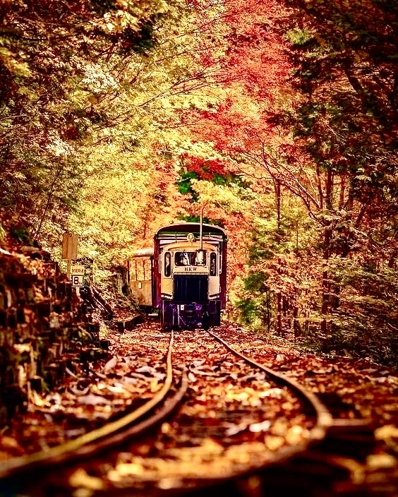 日本🇯🇵🗾🍂🍁♥️