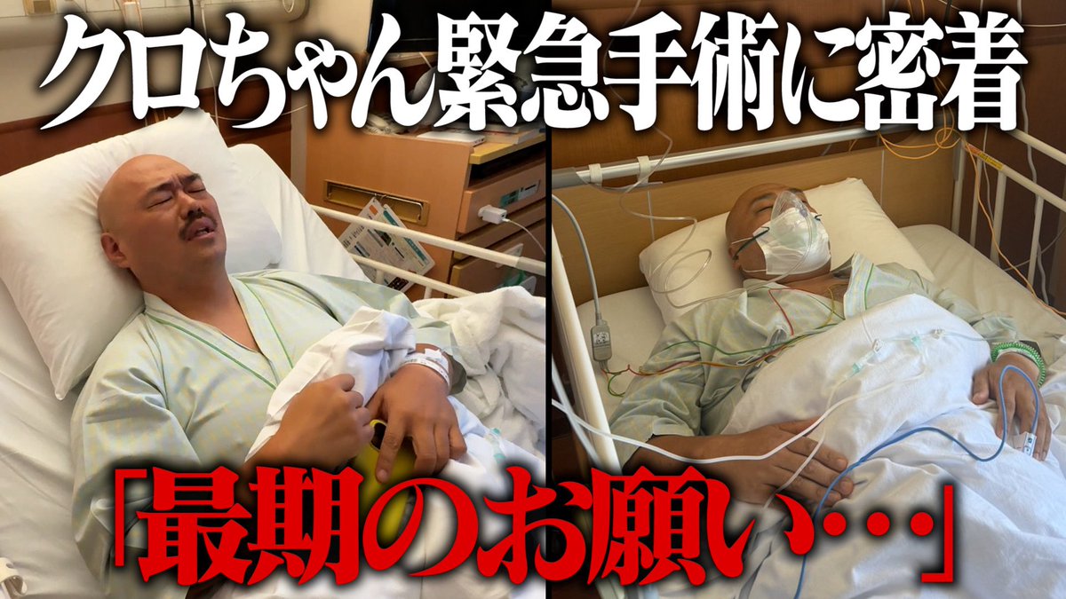 クロちゃん緊急手術に密着】 全身麻酔で朦朧 カレンちゃん、紺野ぶるま