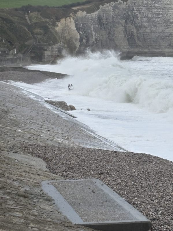 Marie Gentric tweet media