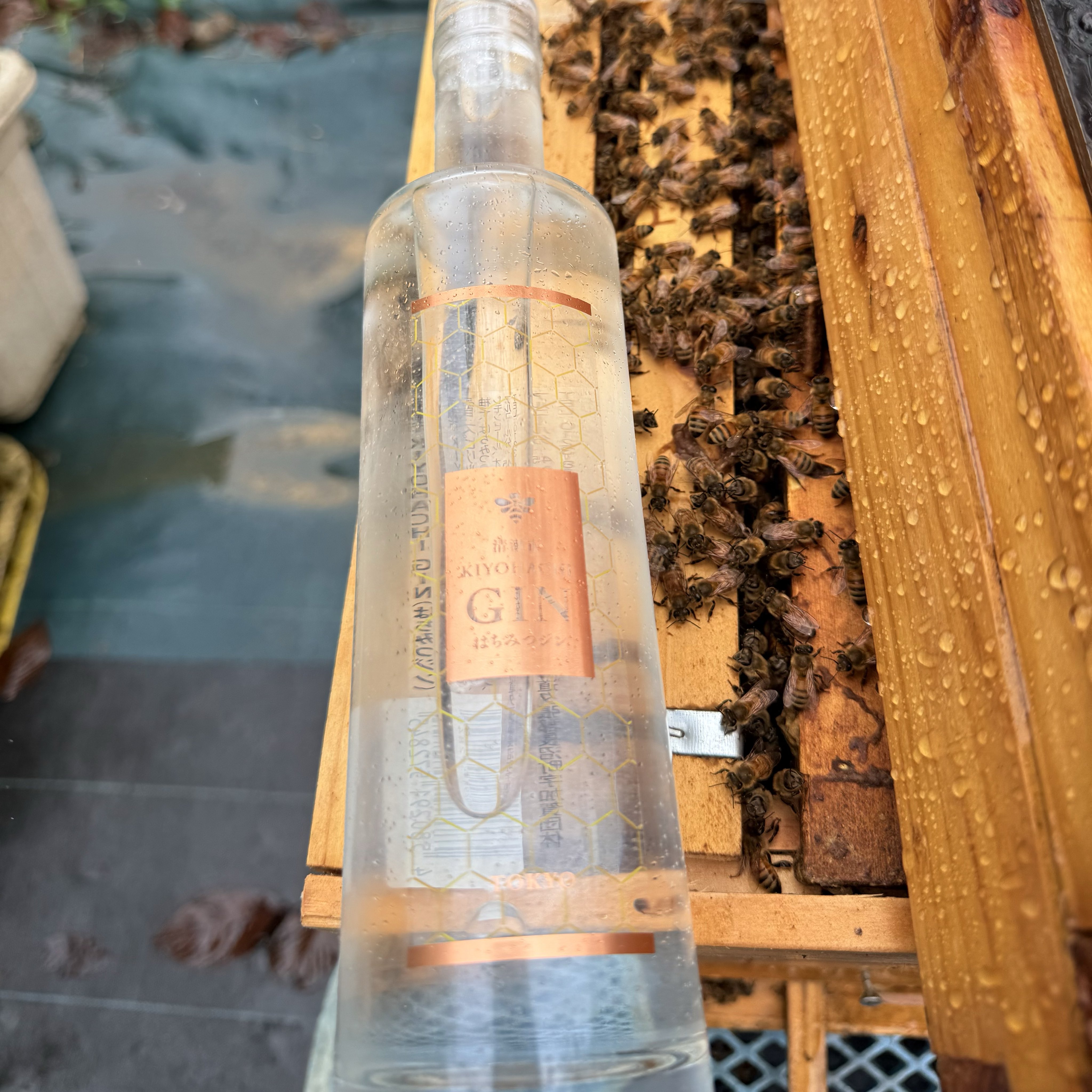 0-1-2-SUN 【アヒルさん】 on X: 