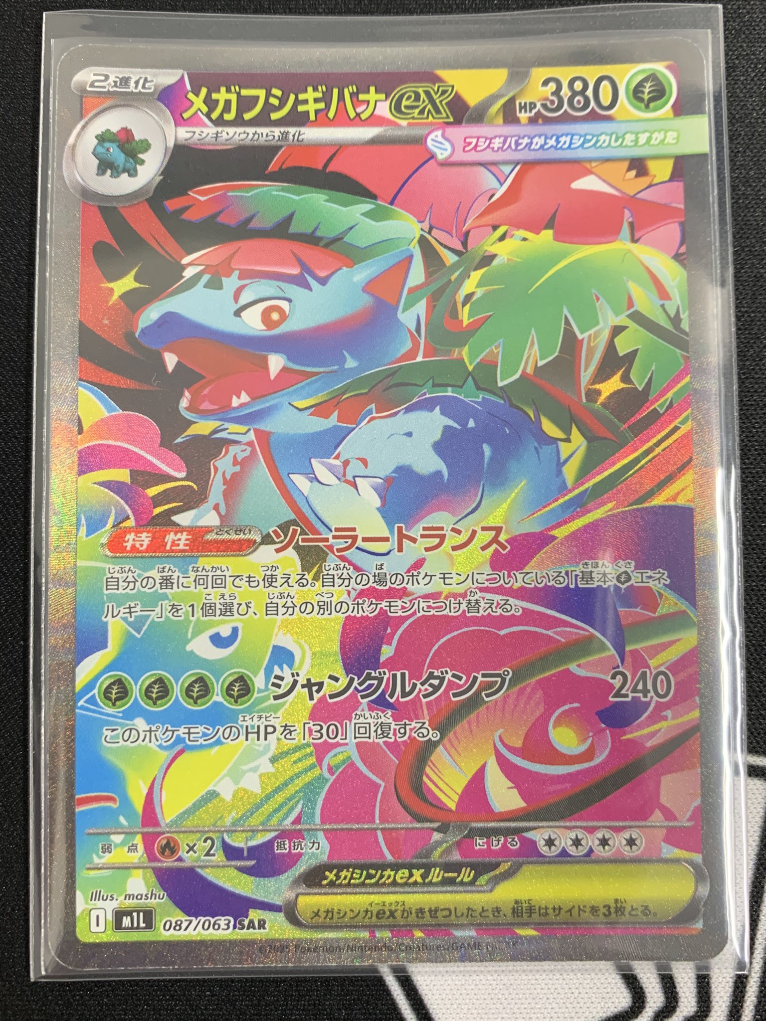 メガフシギバナEX par アセロラのいたずらsr メガフシギバナEX par アセロラのいたずらsr