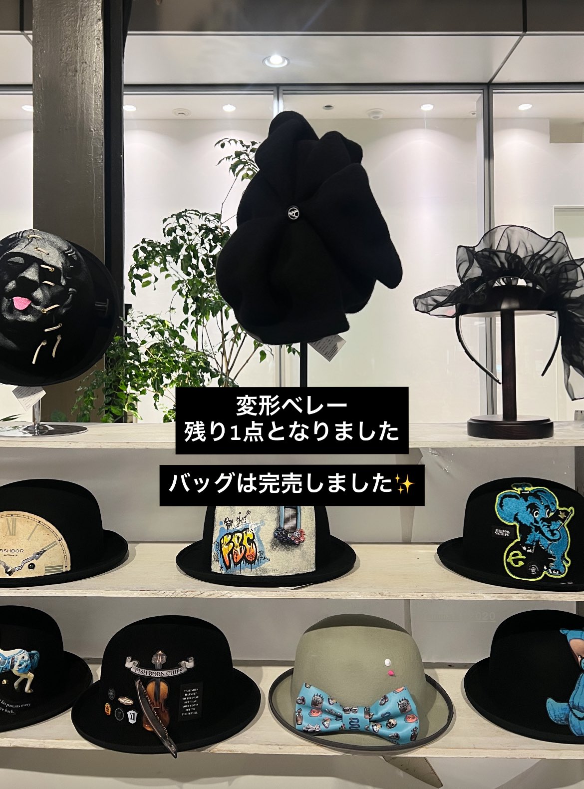 Fish Born Chips (@fishbornchips) / X