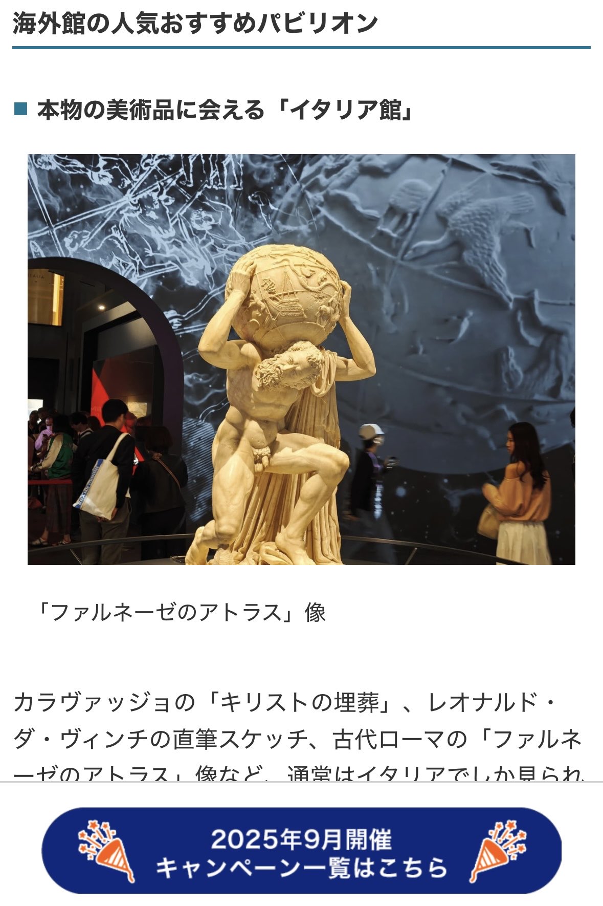 ぎんじろう New Accelerator Cable Wire Assy 78180-89138 Fit 1984-1989