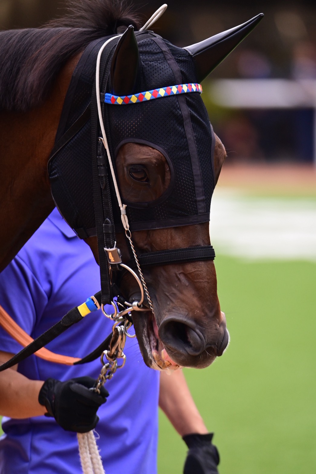 く*ろ様 競走馬　スペシャルウィーク　無口 く*ろ様 競走馬 スペシャルウィーク 無口 スペシャルウィーク