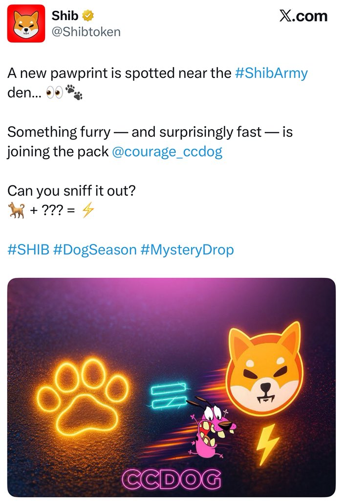 LfcTalk7's tweet photo. @100xAltcoinGems $CCDOG due to the $Shib partnership https://t.co/QoyJ5CzqNL