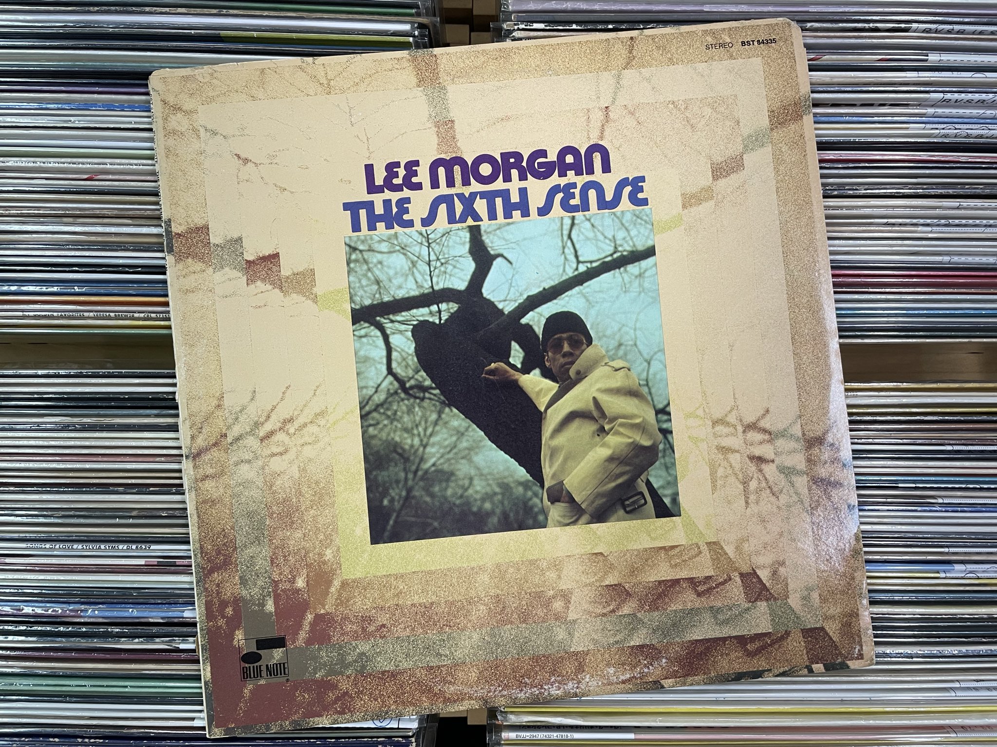 洋楽 Hex Hector,Thunderpuss,Tony Moran 洋楽 Hex Hector,Thunderpuss,Tony Moran 洋楽 Hex Hector,Thunderpuss