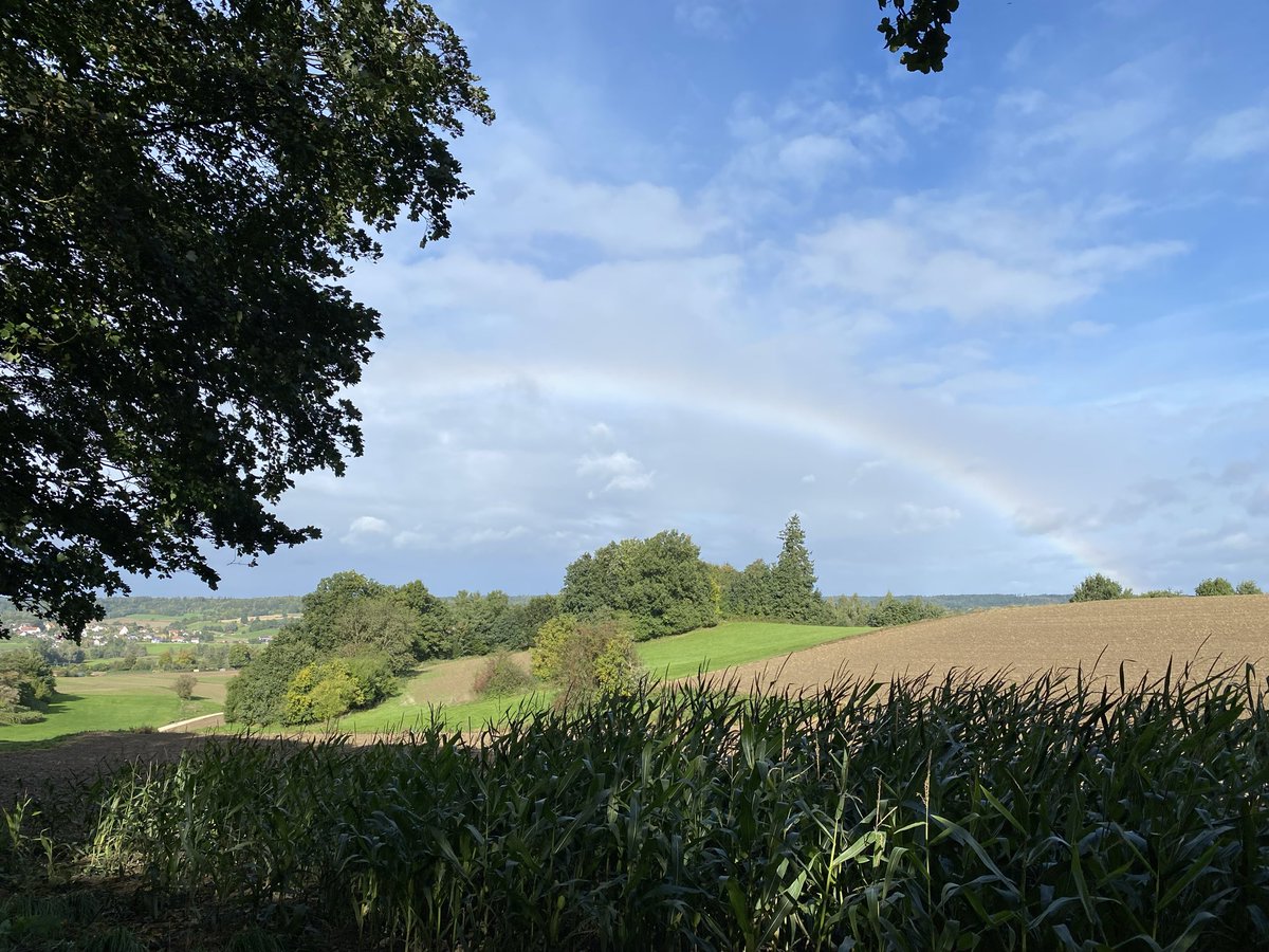 R. Bogi ❎🇩🇪🎶♏️📖 (@bogiralph) on Twitter photo 