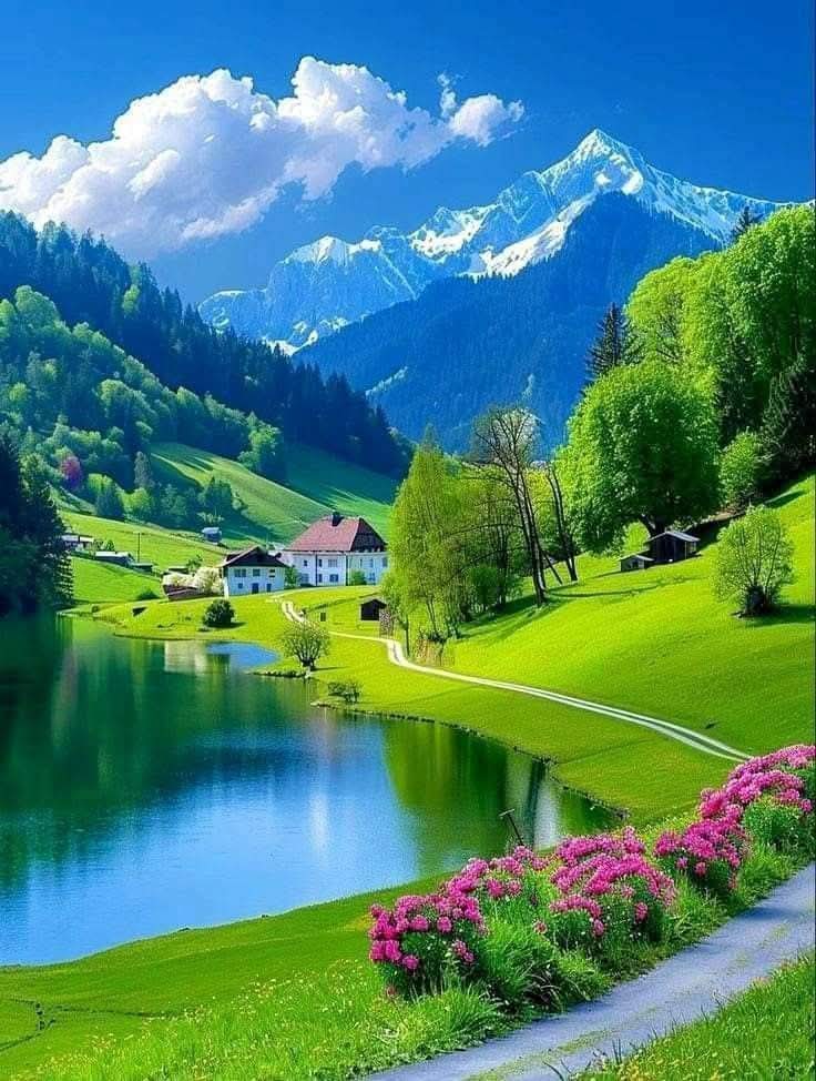scouce007's tweet image. 🩷💜 Have a nice day!💜🩷