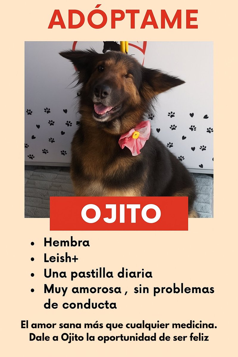 Nani👁 tweet media