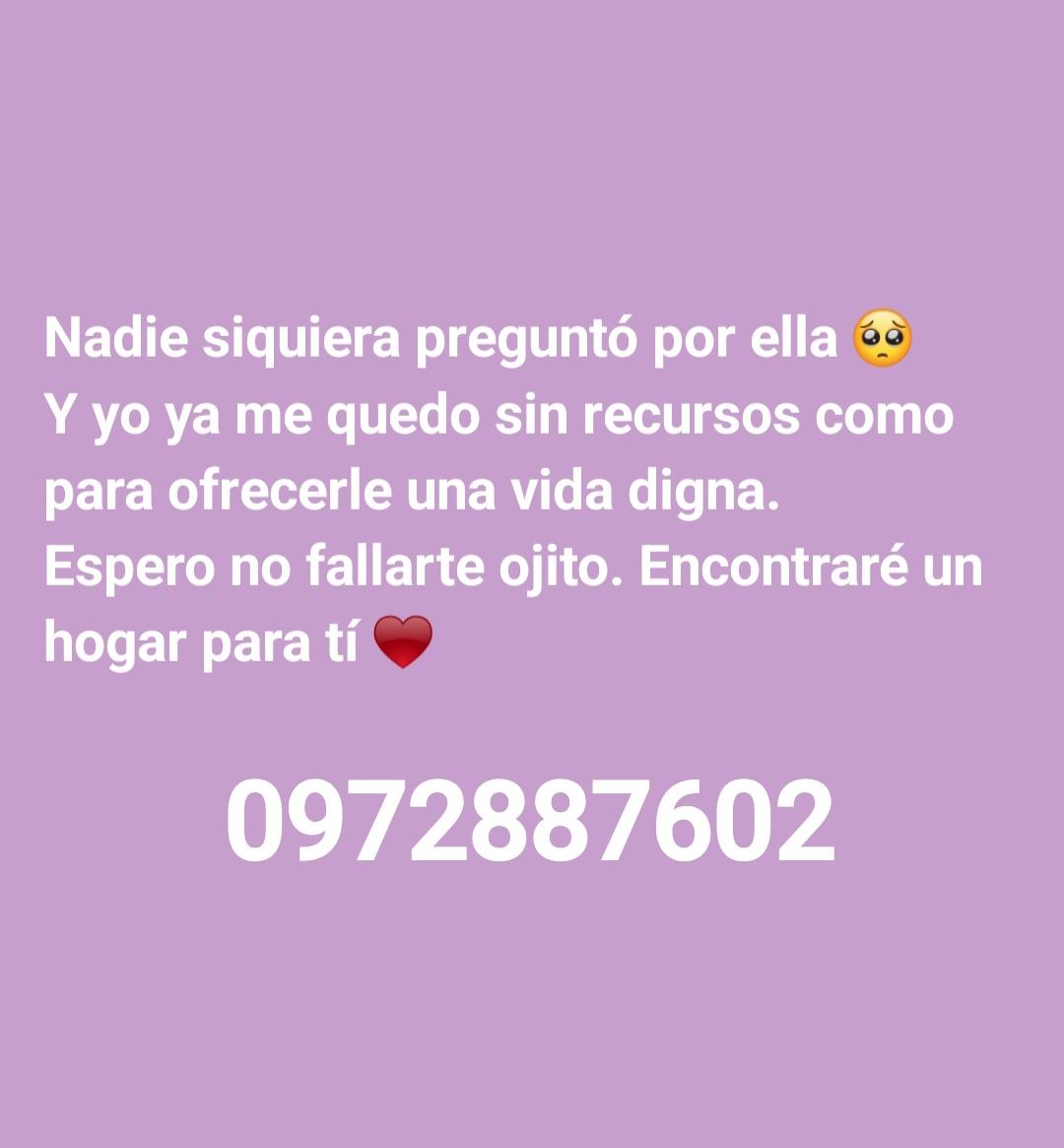 Nos ayudan a poder compartir este pedido de adopción 💔 <a href="/mascotitaspy/">Buscando a tu Mascota Py</a> <a href="/ruthdemoab/">REPTZ</a> <a href="/perdidospy/">Mascotas Perdidas Py 🇵🇾</a> <a href="/TiFaNiiii/">Stephie Bogado Tervit #80547</a> <a href="/MarcoHuellasPy/">Marcando Huellas</a> <a href="/MarisLlorens/">Maris Llorens</a> <a href="/IsabelMezquita4/">Isabel Mezquita</a>
#AdoptaNoCompres #Paraguay  #Tendencia