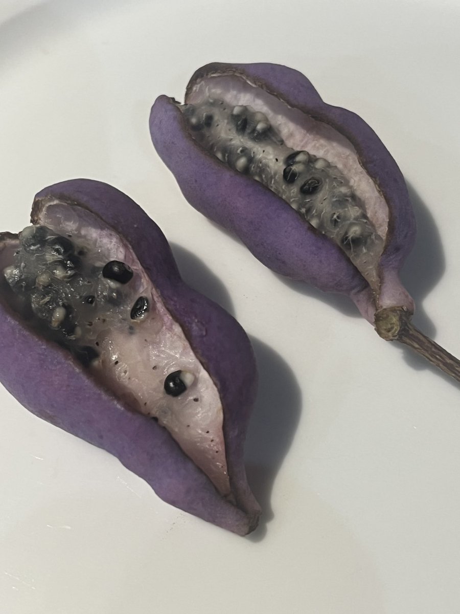 Mike Porter 🚜 tweet media