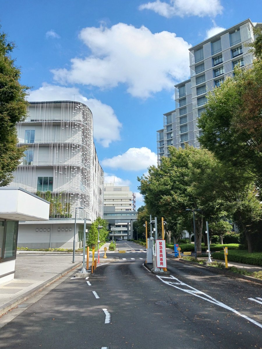 supika4512's tweet photo. 久しぶりの……

今日は神奈川相模原市にある北里大学相模原キャンパスまで息子の大学準硬式野球の観戦にきました。
渋滞にはまり2イニングしか見れませんでしたが試合に勝てて
本人も少し活躍ができたみたいで何よりです。
大学病院と隣接された大学構内を散歩してましたが清潔感漂う雰囲気でした。 https://t.co/ywMZcySBAH