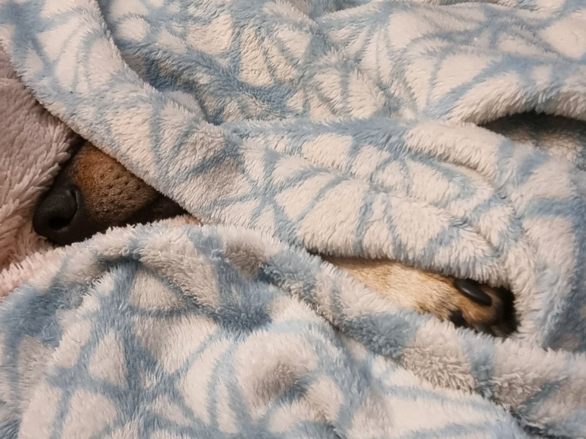 Sapnīts par apkures pieslēgšanu. Nākamnedēļ piepildīsies. Vai <a href="/frikentijs/">Frīda</a> un <a href="/san_poki/">Poki-san 🏴‍☠️</a> jau siltumā?