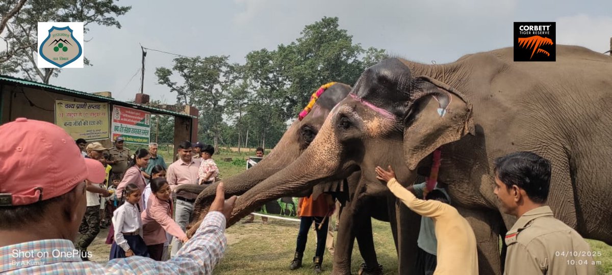 Corbett Tiger Reserve, Uttarakhand - Official tweet media