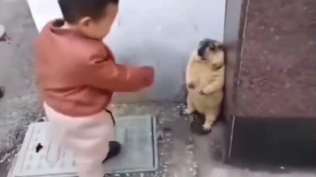 画面端で柔道されてるときの俺。