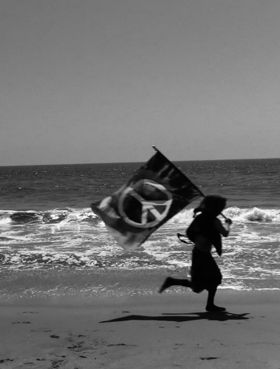 DiorBullets's tweet image. Paz  #abejastudios