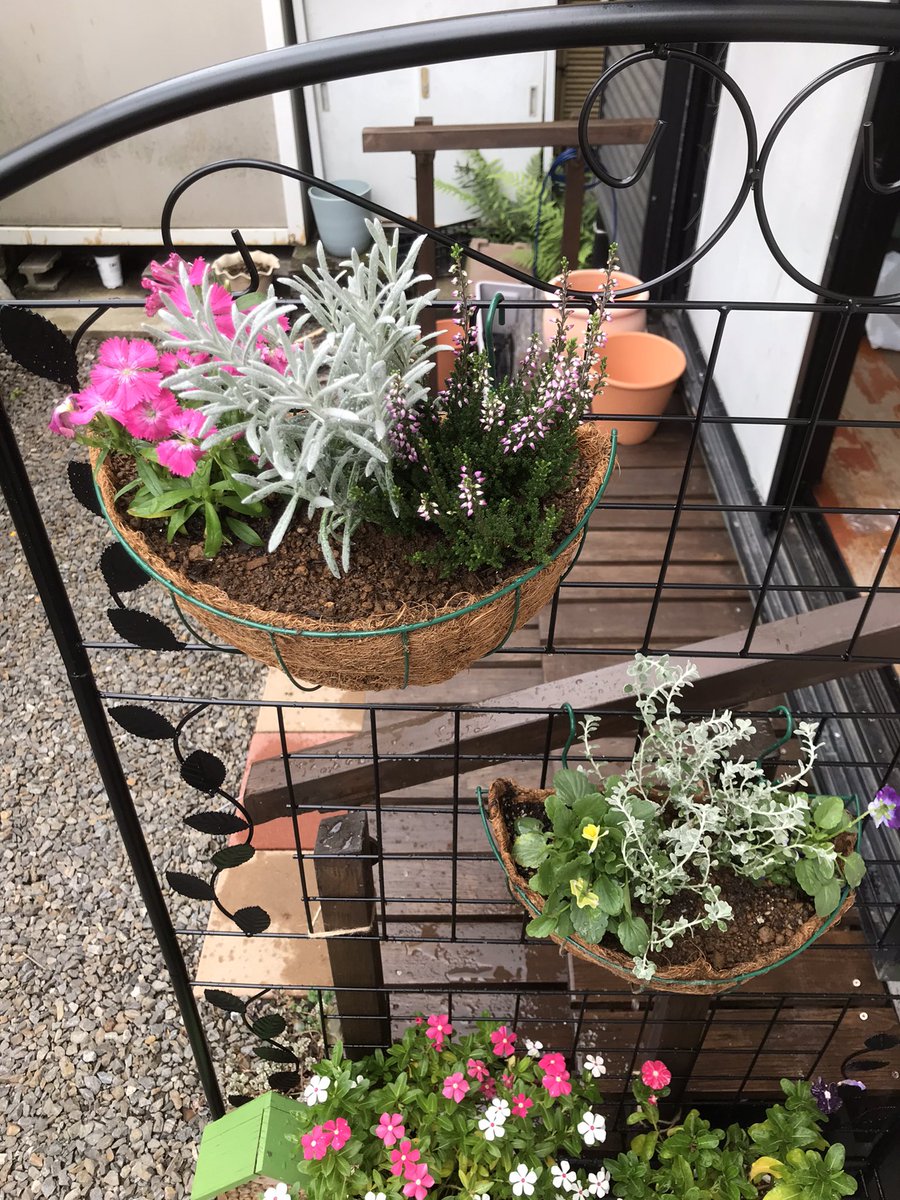 ＊cocoページになります＊ Amazon.co.jp: GreetingLife ココちゃん イラストが毎ページ