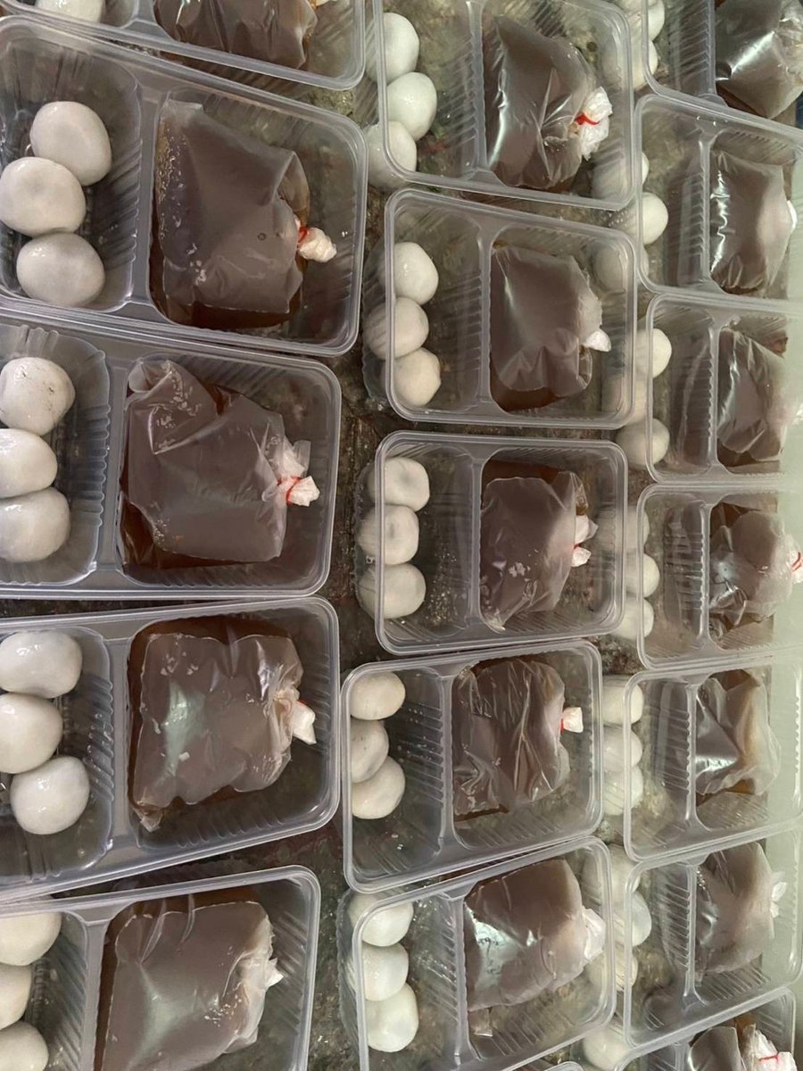 mamasungs's tweet photo. ฝาก รีทวิต🙏❤️
ขออนุญาตเปิดโดเนท น้ำเต้าหู้เย็นขวดละ 25 บาท
บัวลอยน้ำขิงชุดละ 40 บาท
 เพื่อนำไปให้ ♥️ PFC ♥️จิตอาสาแจกให้นุชผู้บริจาคเลือดในวันที่ 
🩸🩸 26/10/68 🩸🩸
ฝากอุดหนุนด้วยนะคะ สนใจโดเนท dm มาได้เลยค่ะ จัดส่งให้ฟรีค่ะ 
@peckpalit 
#เป๊กผลิตโชค
#PeckPaLitchoke
#ตลาดนุช https://t.co/LiIVlXnfhf