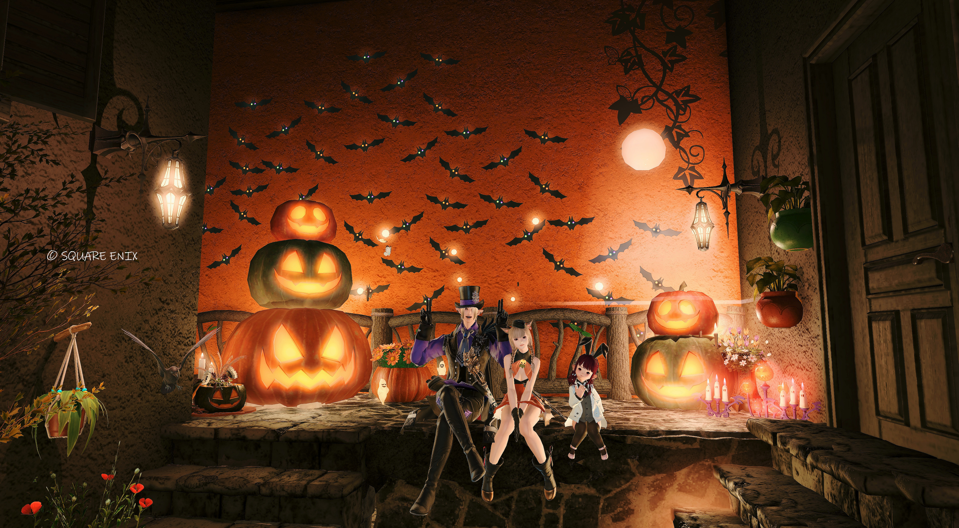 🌱江戸わーど🐺☽❂ on X: 