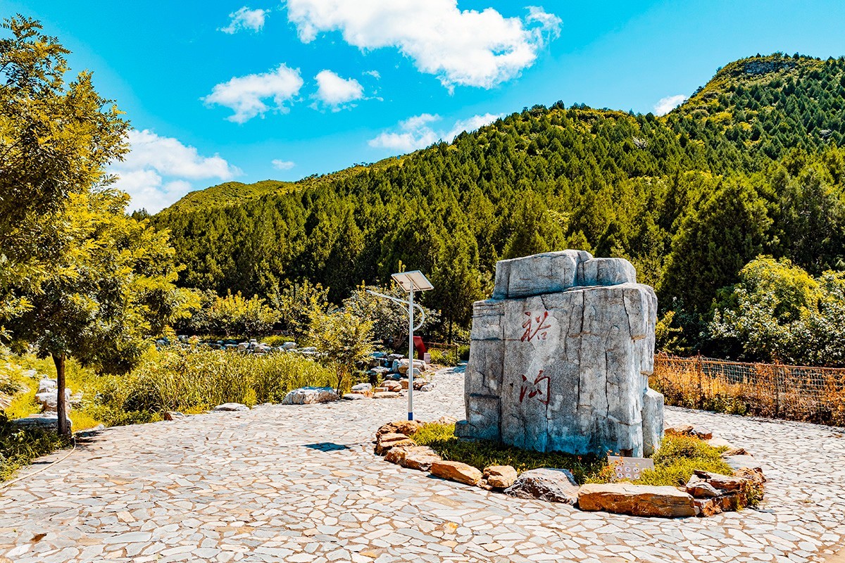 DailyBeijing's tweet image. The 1,500-mu pear orchard in Longwantun Town, Shunyi District, Beijing, has entered its #harvest season! Visitors are invited to pick fresh #pears, stroll through sun-dappled groves, and soak in the golden hues of #autumn. #beijing #beijingtravel #agriculture #agriculturelife