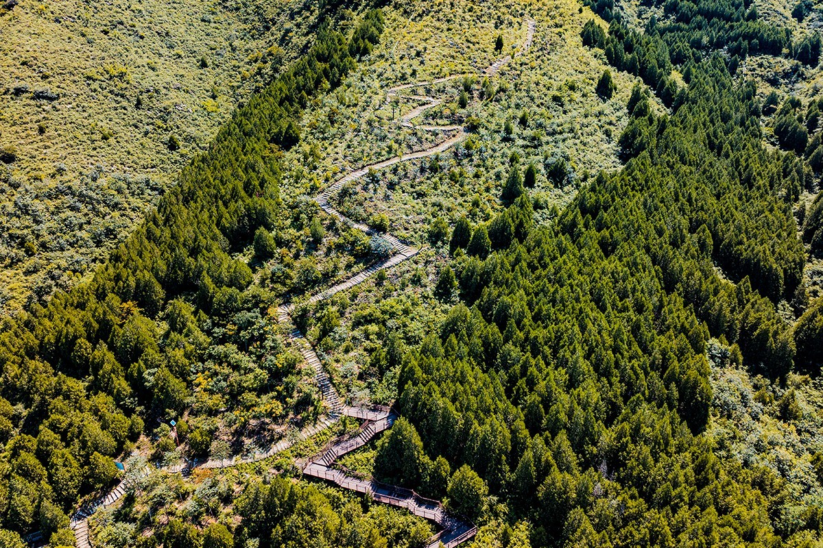 DailyBeijing's tweet image. The 1,500-mu pear orchard in Longwantun Town, Shunyi District, Beijing, has entered its #harvest season! Visitors are invited to pick fresh #pears, stroll through sun-dappled groves, and soak in the golden hues of #autumn. #beijing #beijingtravel #agriculture #agriculturelife