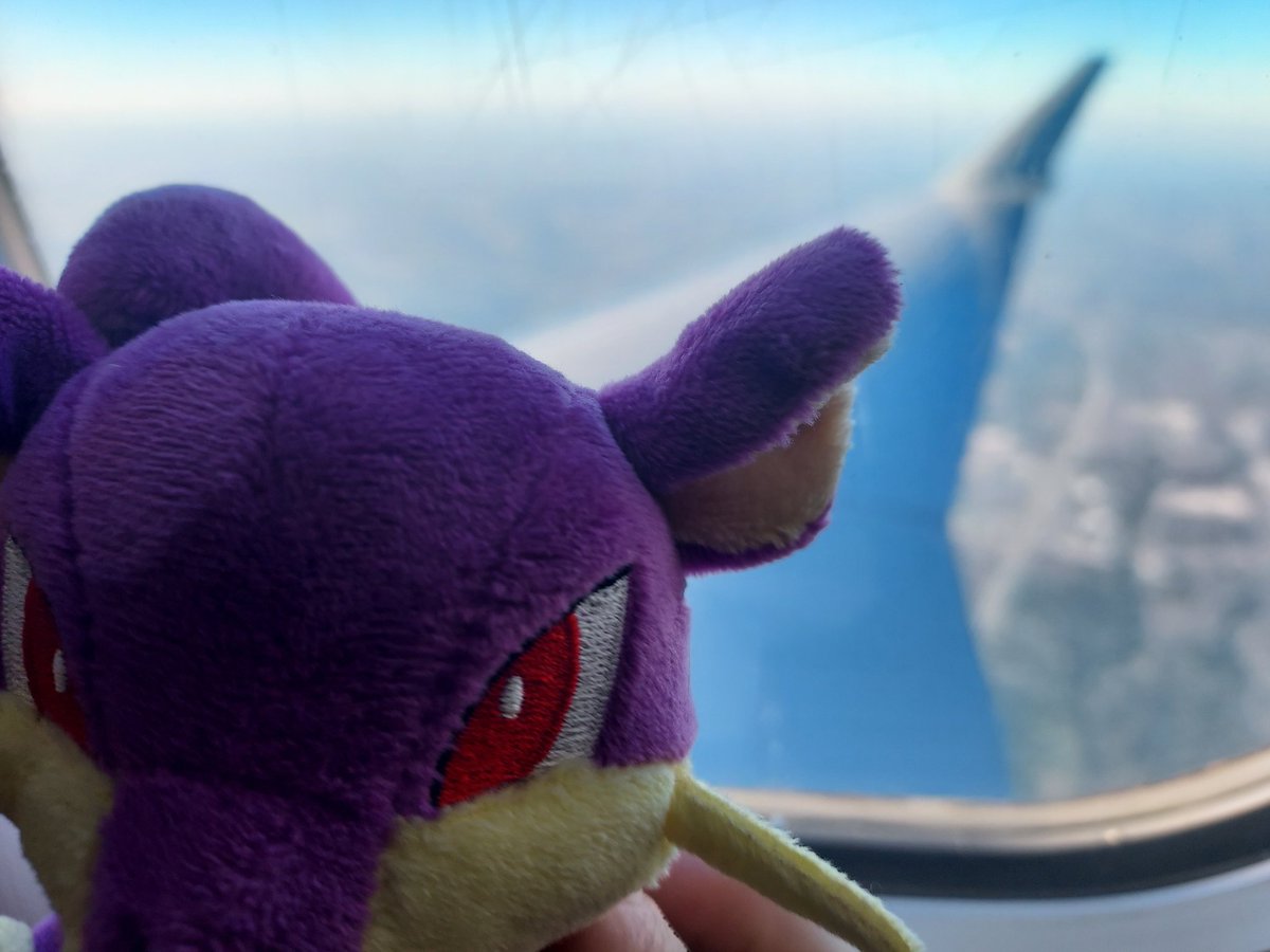 They let me on a plane.