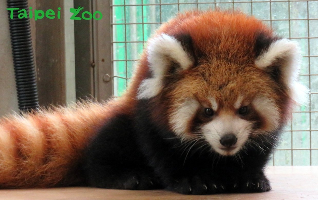Berryhota (@berryhota) / X