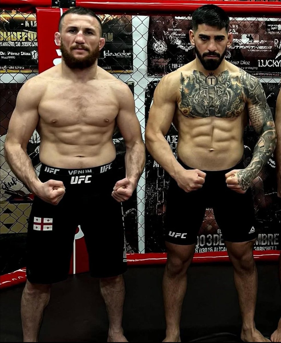 The greatest duo in MMA History 🇬🇪