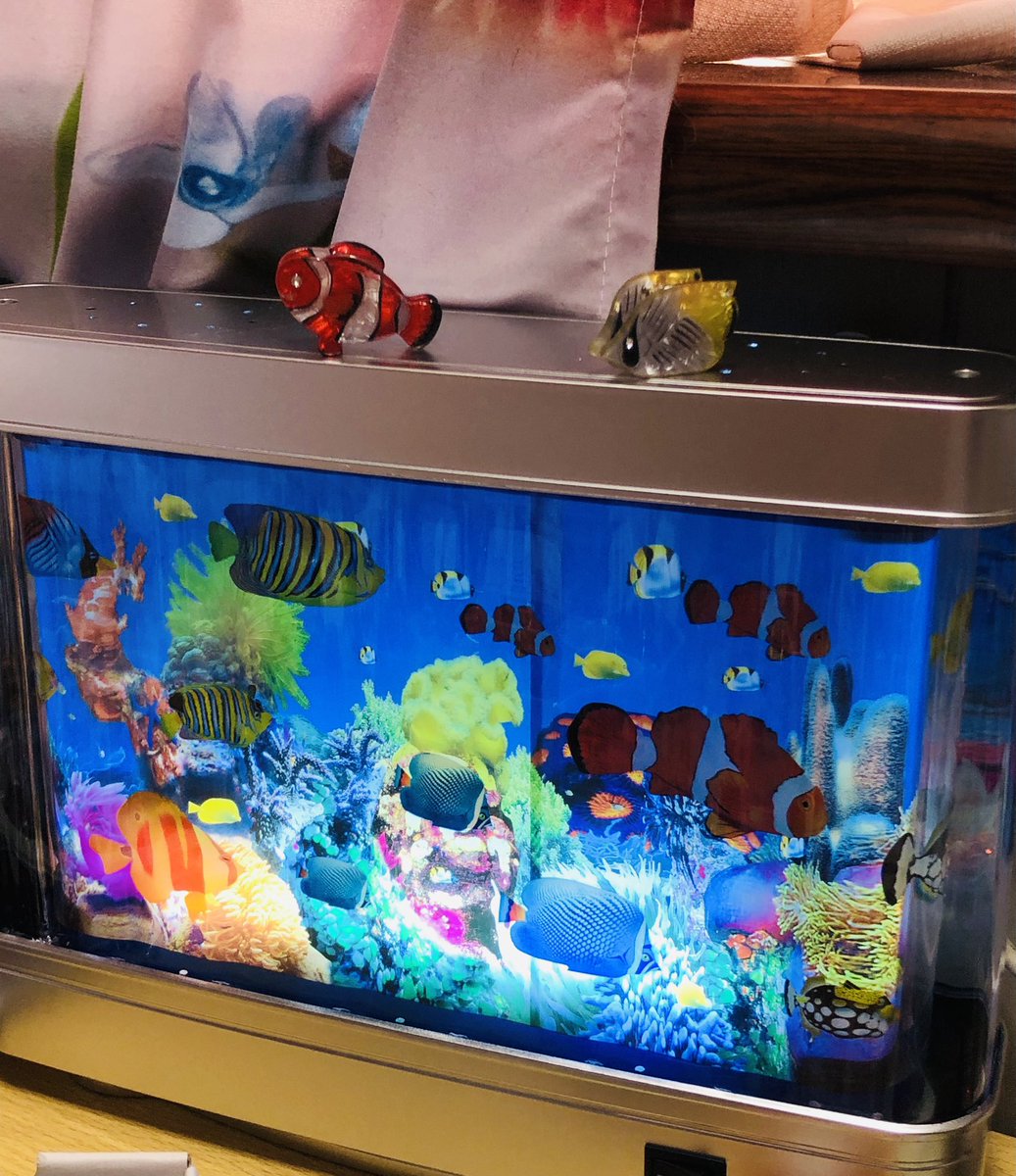 一体どこでそんなものを購入…？
（人のこと言えないけど）