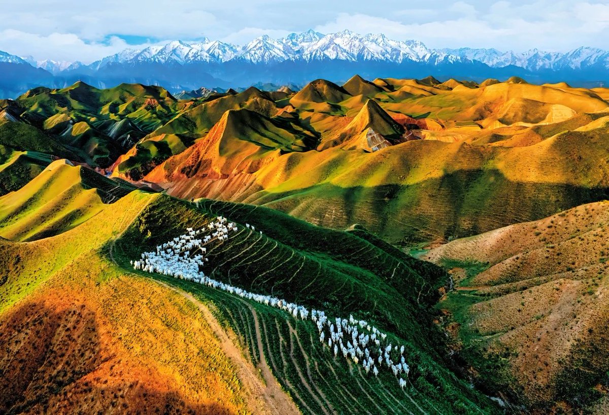 天山牧歌#大美中国#新疆