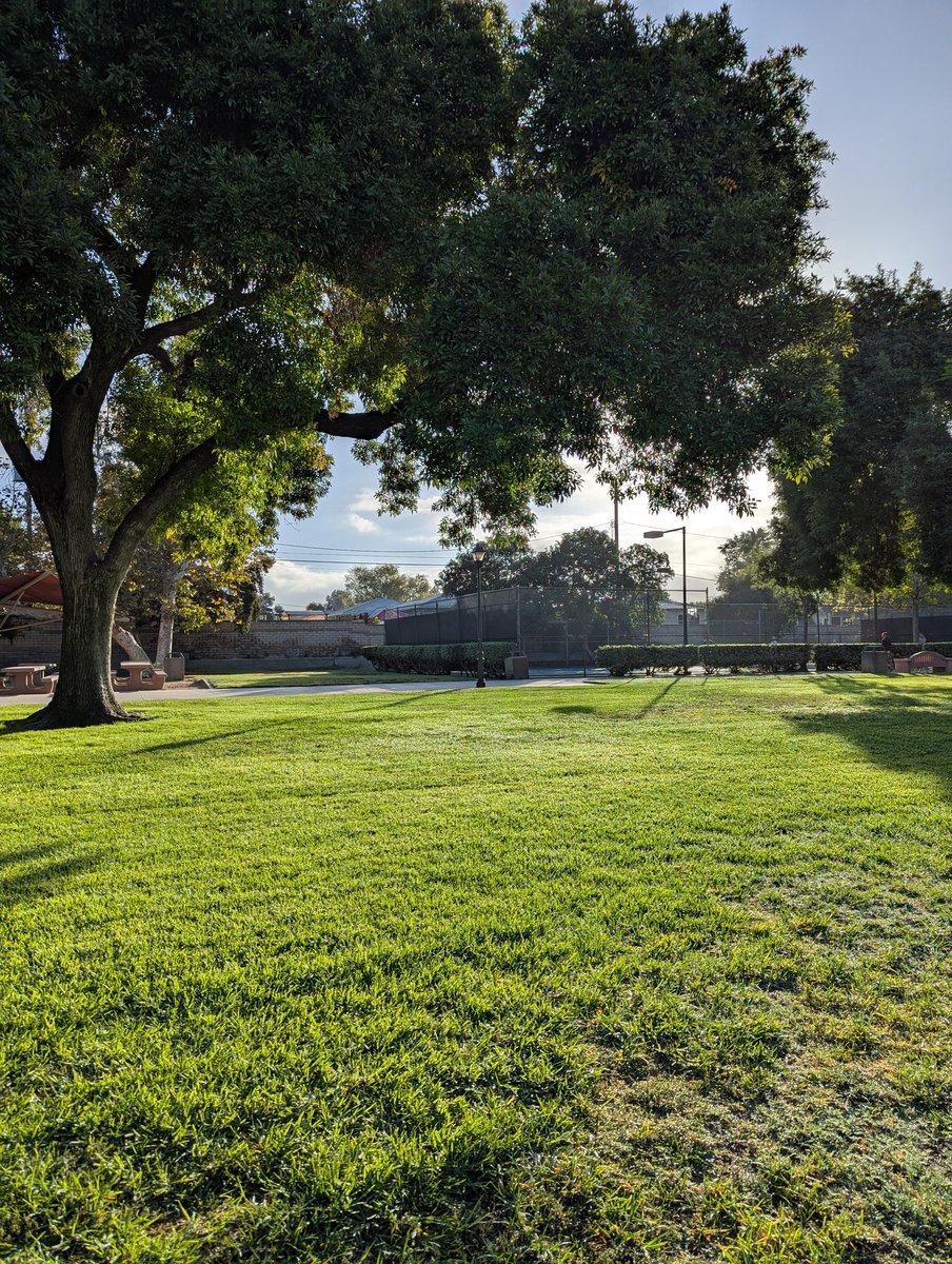 nehal_sangoi's tweet photo. Peaceful mornings like this! #morningwalk #sunkissed #loveparks https://t.co/xhZhJPtJ1k