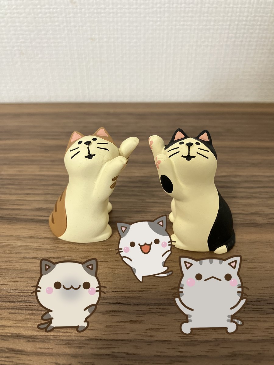 どこかの猫好き かたこ on X: