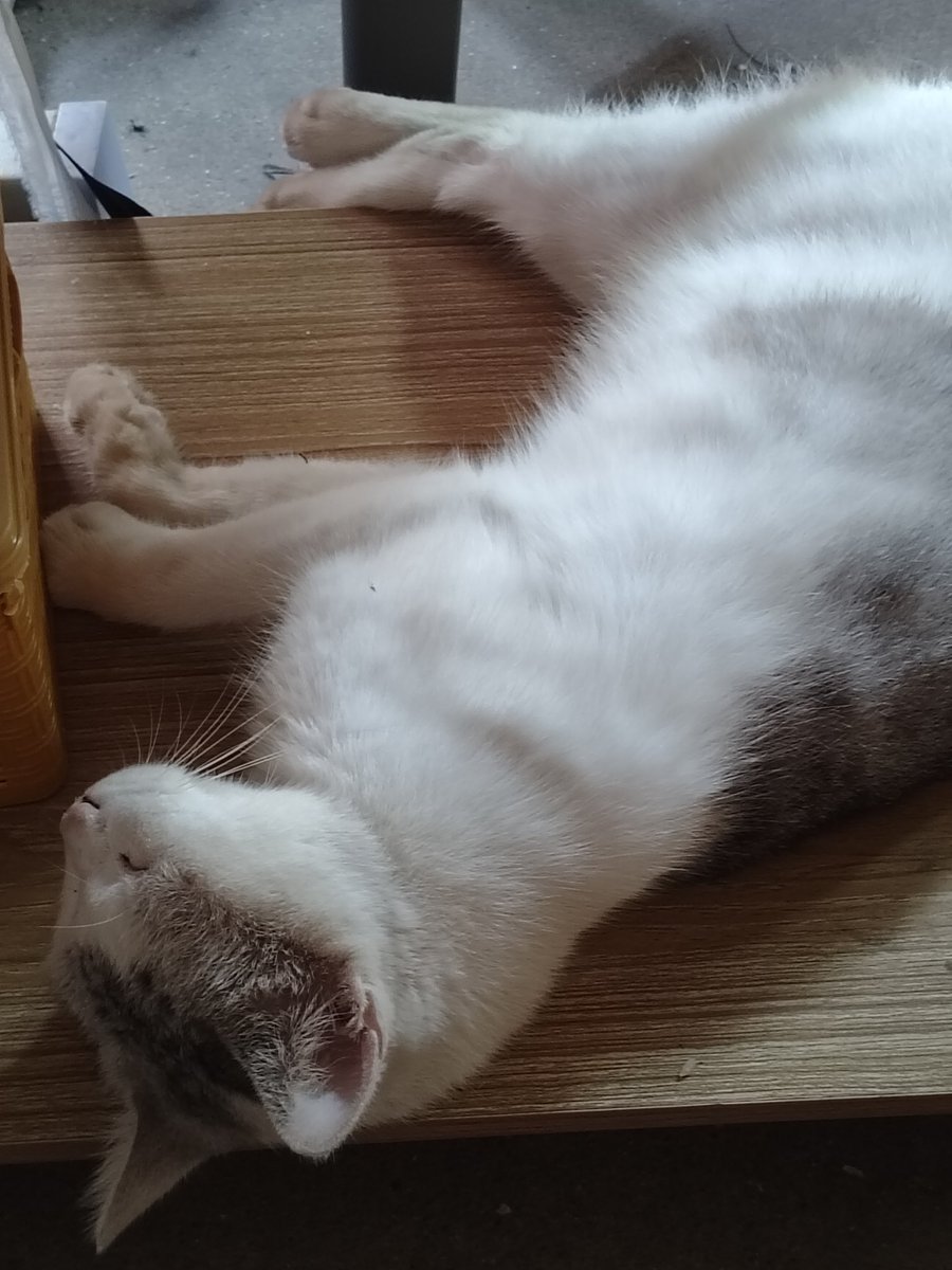 jiyichen8's tweet image. 好无聊哦，是我玩的太花了吗？白给都没人要我了