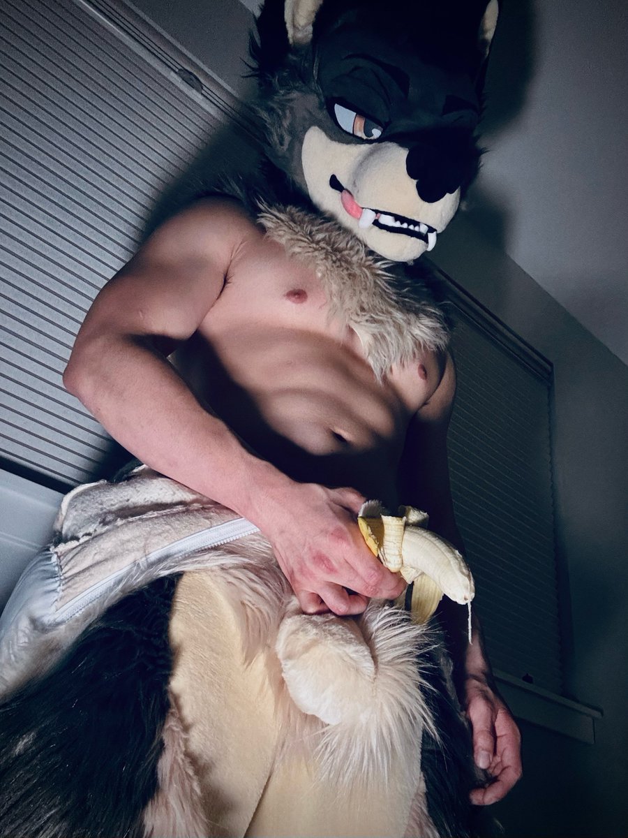tolfdog's tweet image. in the furred suit. straight up &quot;peeling it&quot;. and by &quot;it&quot;, haha, well. let&apos;s justr say. My banana