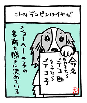 #世界動物の日 

デコピン。

#こんなマルマル 