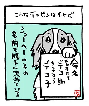 #世界動物の日 

デコピン。

#こんなマルマル 