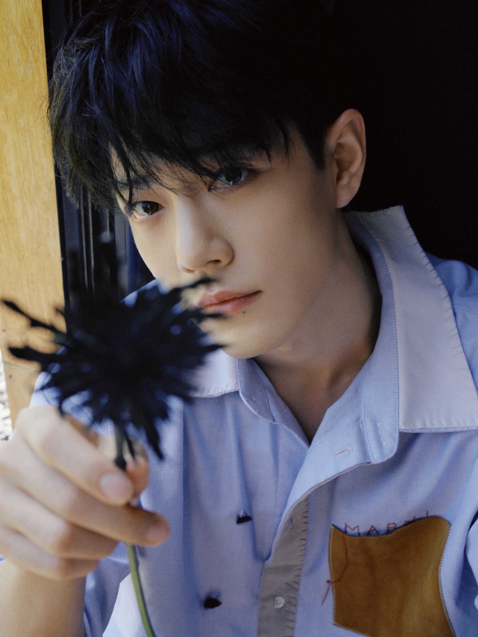 Xiao Zhan Japan Fanclub on X: 