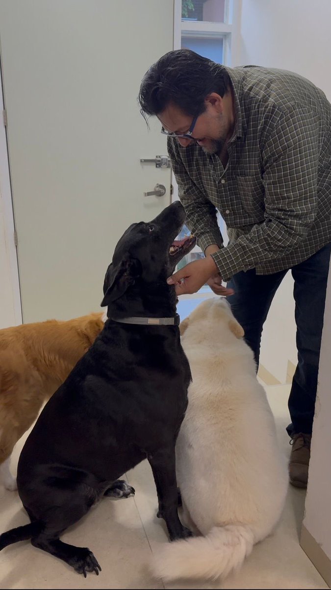 Hoy es el Día Mundial de los Animales y quiero aprovechar para presentarles a unos integrantes muy especiales de mi familia: Rei, Chiquis, Mía, Luna y Nala🐾 

#DíaMundialDeLosAnimales #ProtecciónAnimal #TratoDigno #PANVeracruz #Veracruz