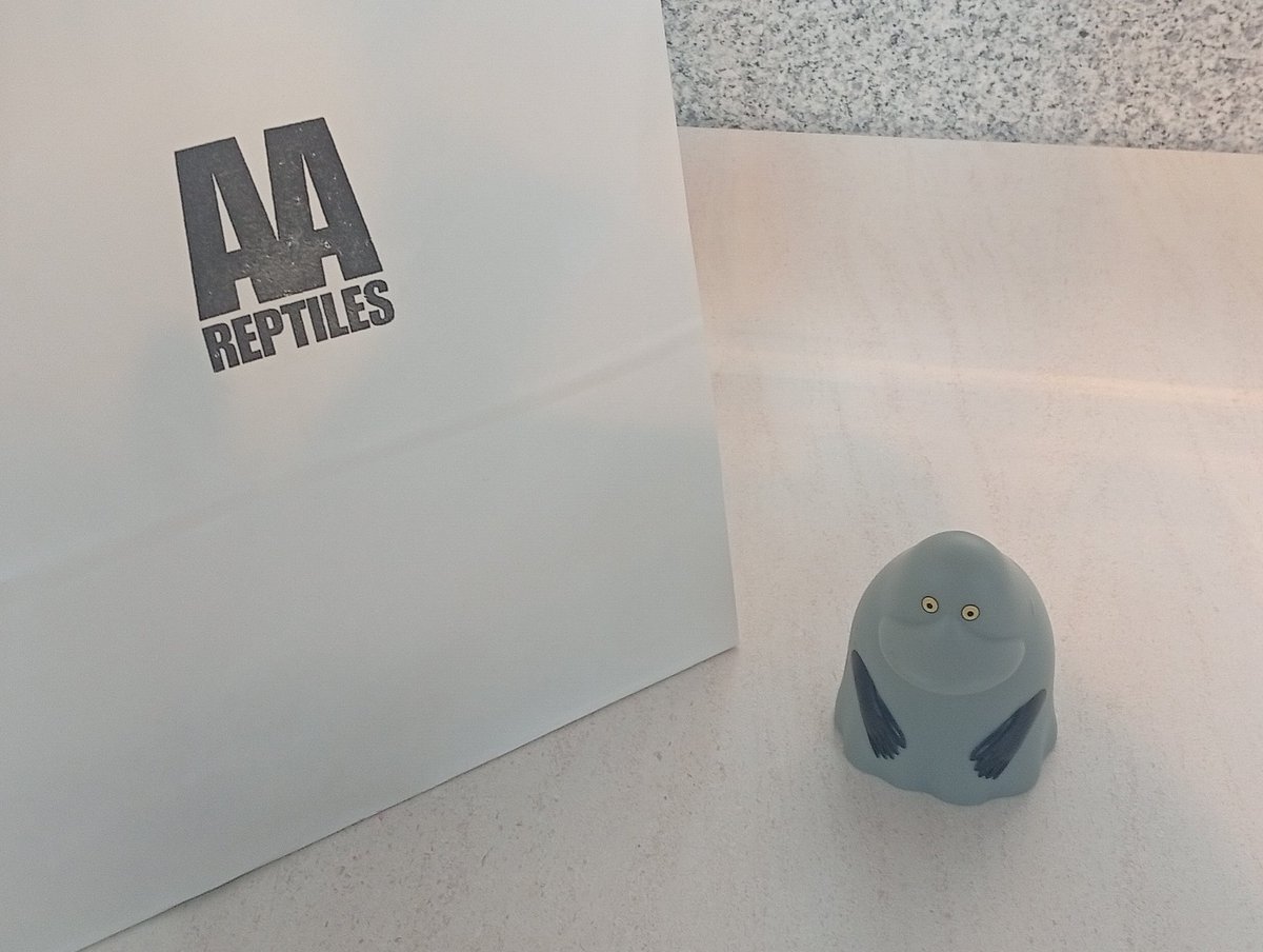 ichiro24069's tweet image. 徒歩で来た！！

とりあえずクッキーゲット🤤

#近畿レプタイルズマーケット 
#近畿レプ