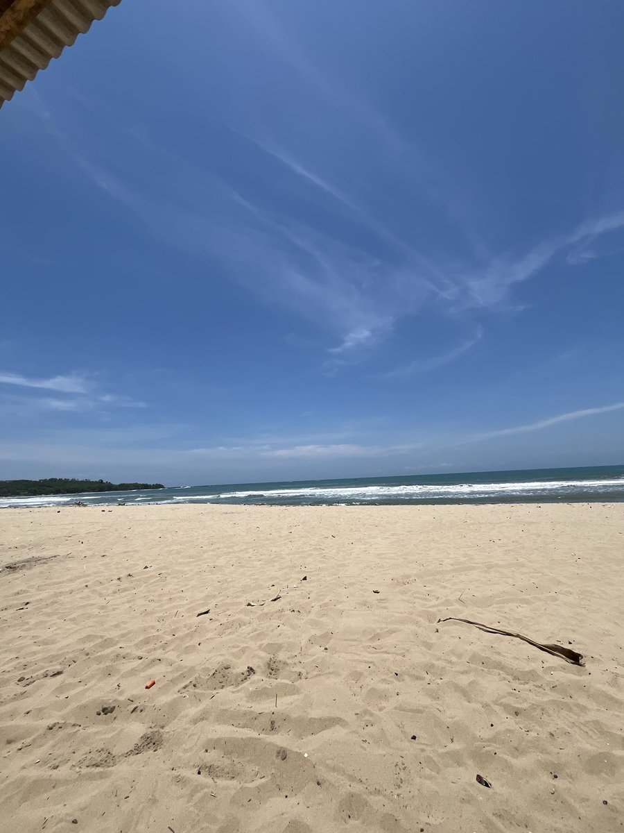 sean 🌠 tweet media