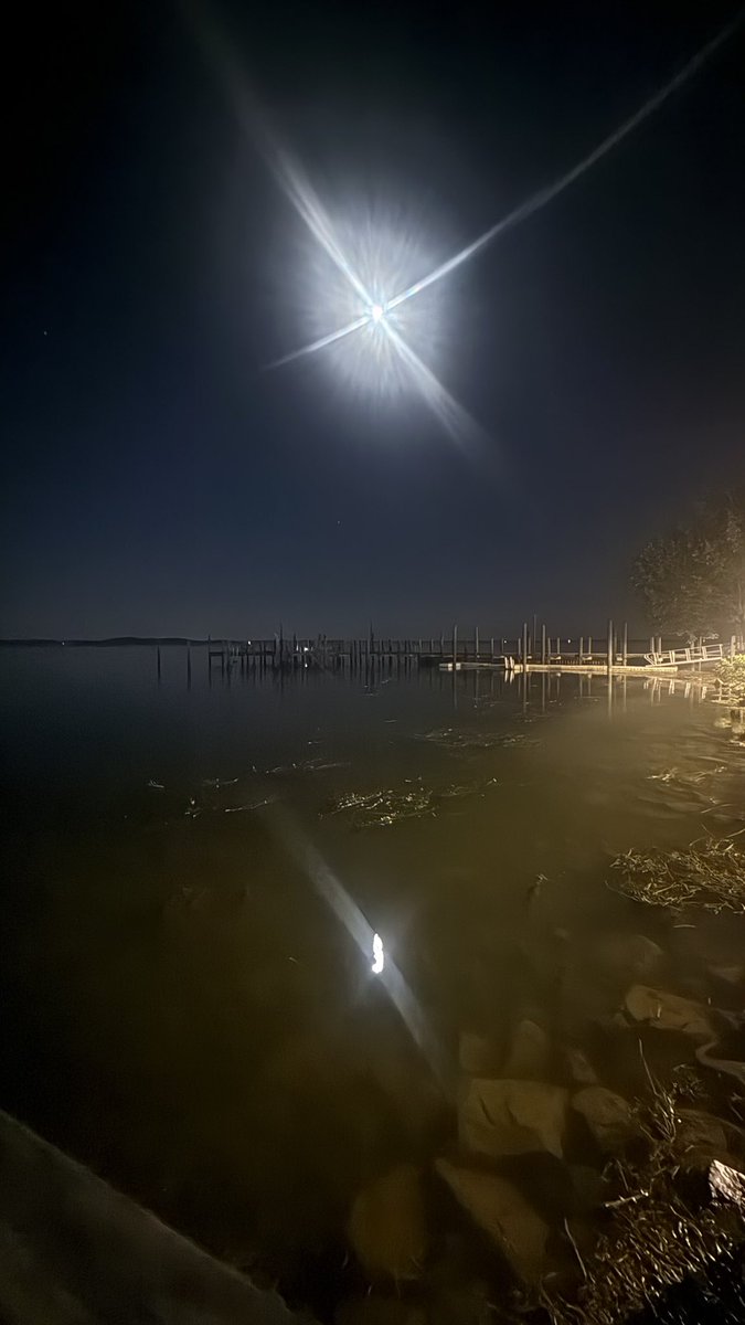 wapple15's tweet image. #ShadowsReflects