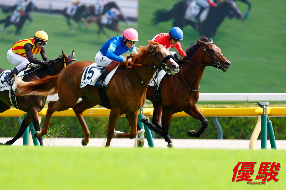 東京第5レース「2歳新馬」(芝2000m)は #荻野極 騎手騎乗の #ゴー